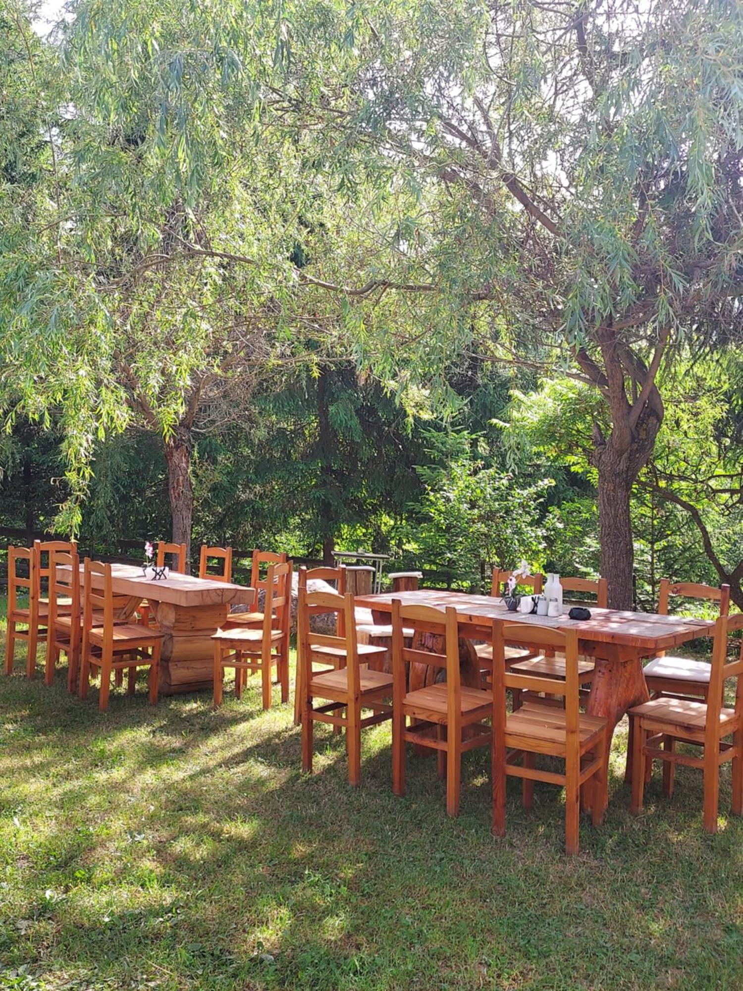Pensiunea La Taverna Traisteni Екстер'єр фото
